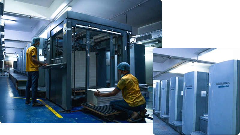 Miraj Multicolour Mono Carton and Corrugated Boxes Manufacturer in Udaipur, Rajasthan
